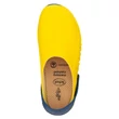 Scholl evoflex 35-42