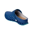 Scholl evoflex 35-42