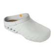 Scholl Clog Evo