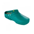 Scholl Clog Evo