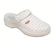 Scholl New Bonus Scholl New Bonus