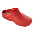 Scholl Clog Evo