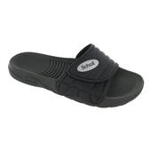 Scholl Scholl