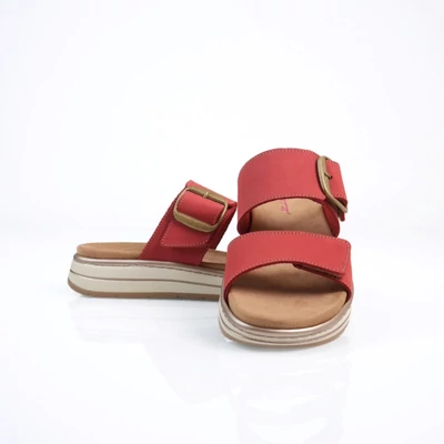 Batz Karina pink