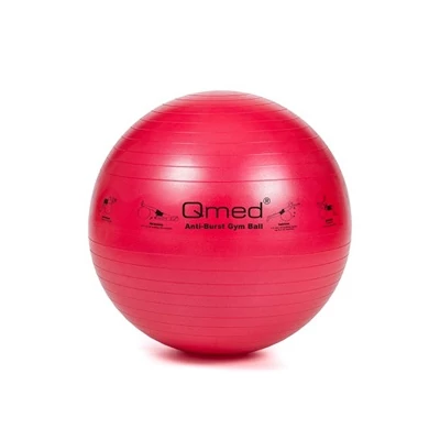 QMED Gym Ball 55cm